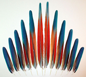 Hybrid Shamrock Macaw Tail Assembly